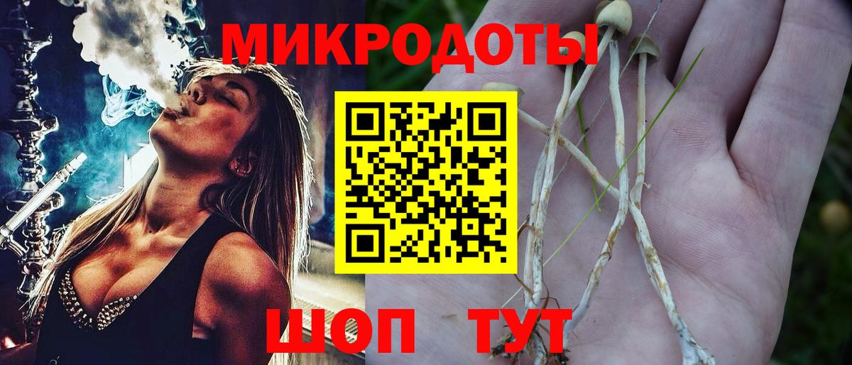 Петрозаводск  Псилоцибиновые грибы Psilocybe  Псилоцибиновые грибы GOLDEN TEACHER  Вход с VPN 